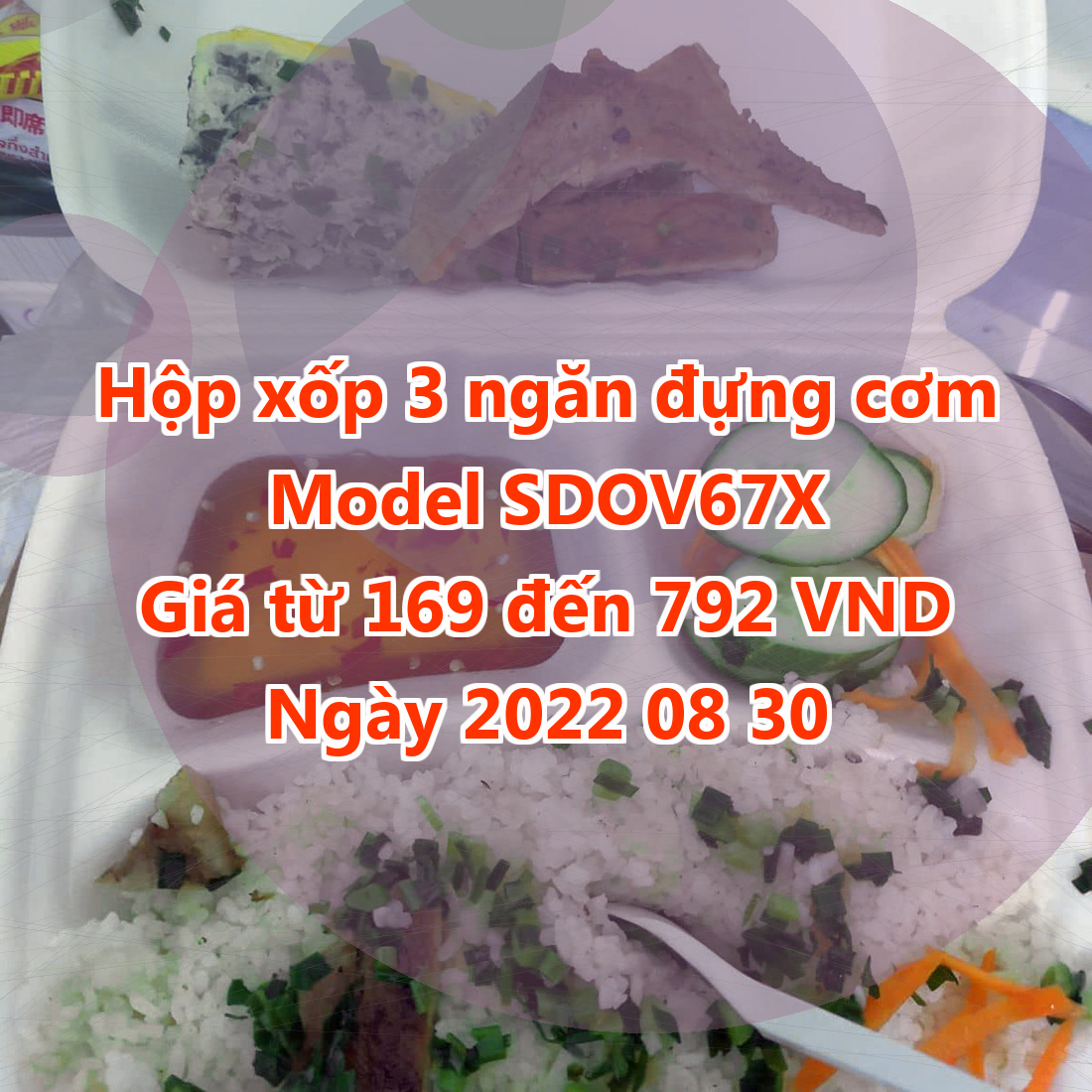 Hộp xốp 3 ngăn đựng cơm - Model SDOV67X