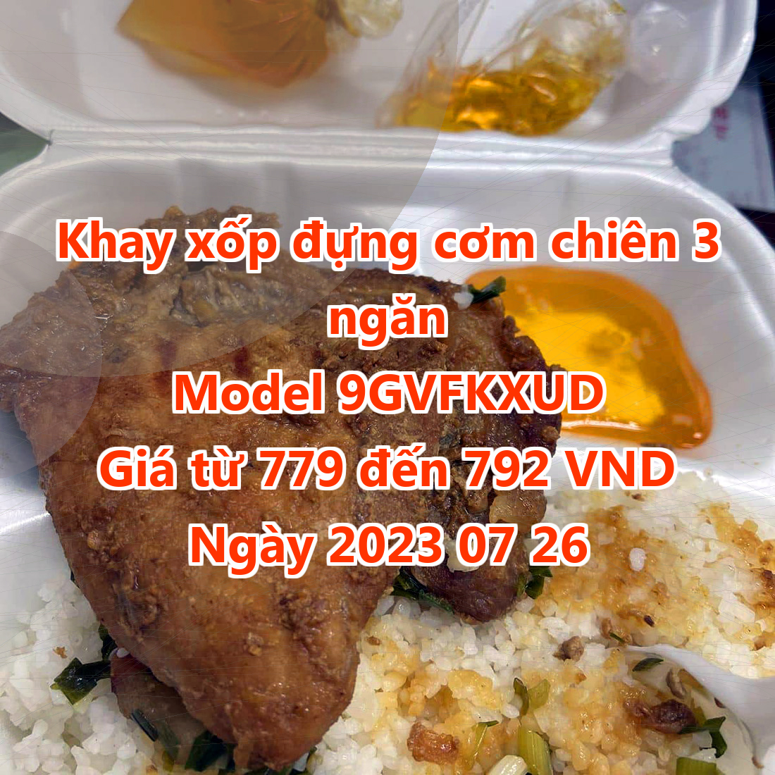 Khay xốp đựng cơm chiên 3 ngăn - Model 9GVFKXUD