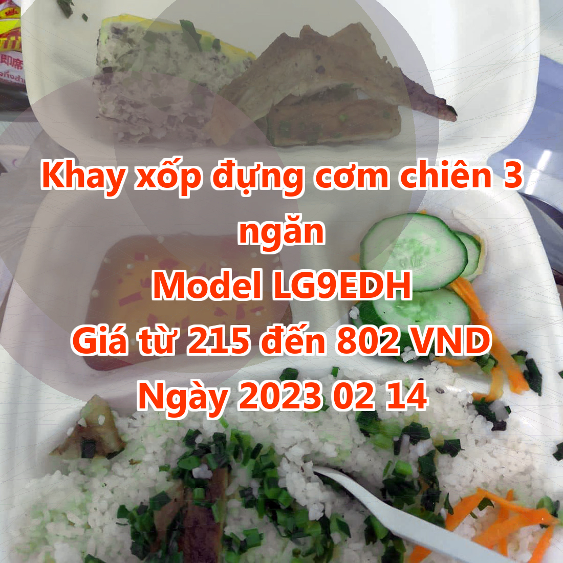 Khay xốp đựng cơm chiên 3 ngăn - Model LG9EDH