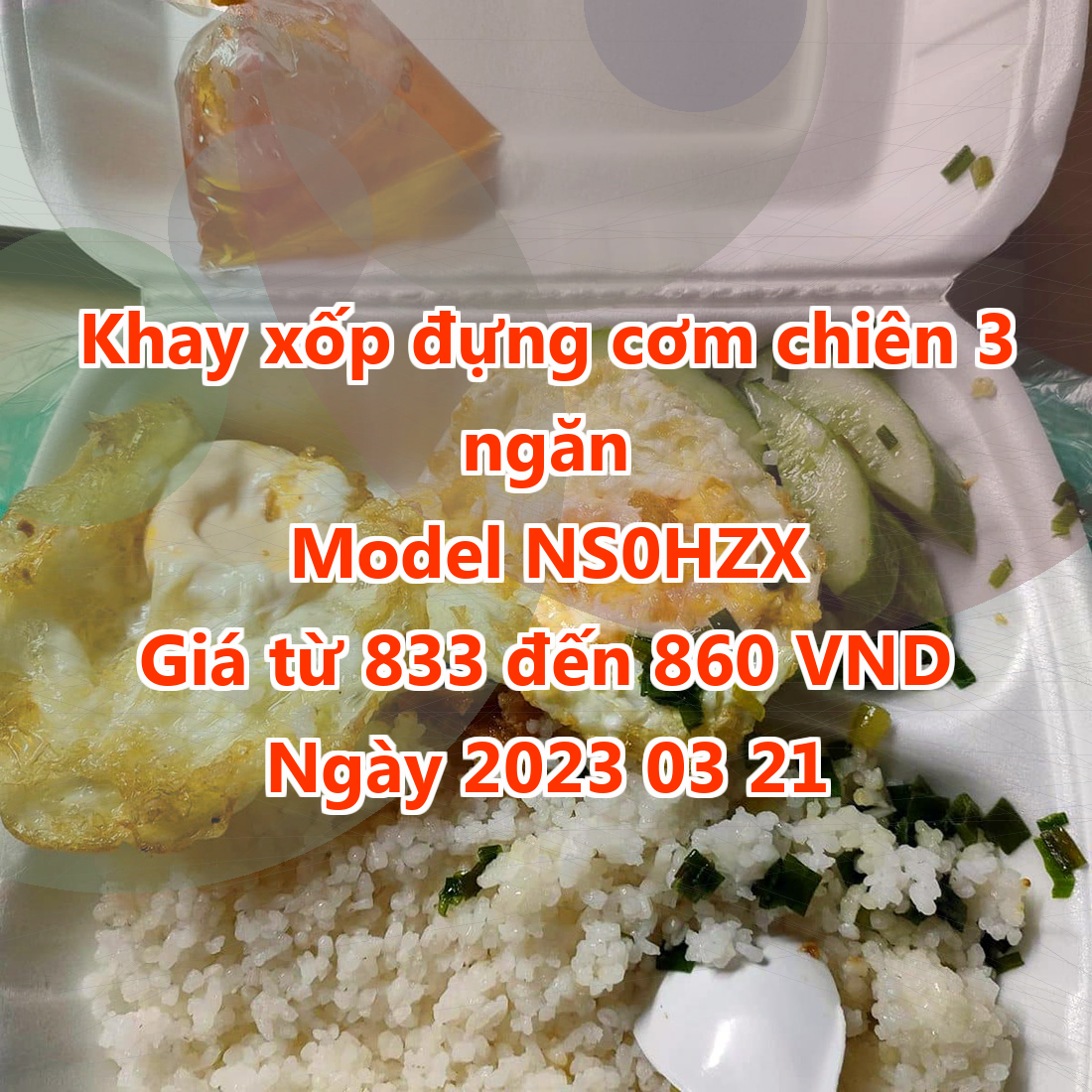 Khay xốp đựng cơm chiên 3 ngăn - Model NS0HZX