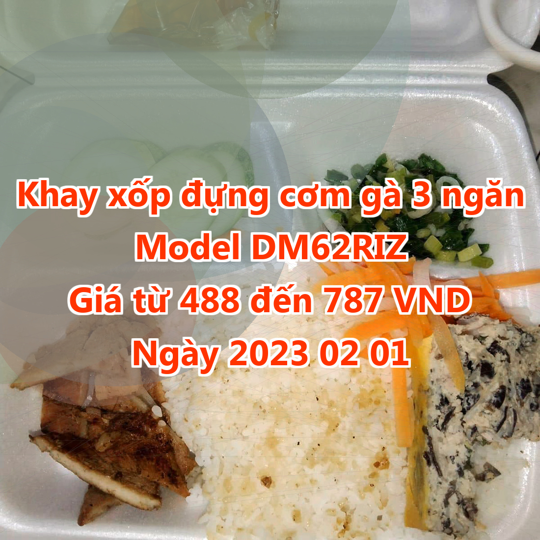 Khay xốp đựng cơm gà 3 ngăn - Model DM62RIZ