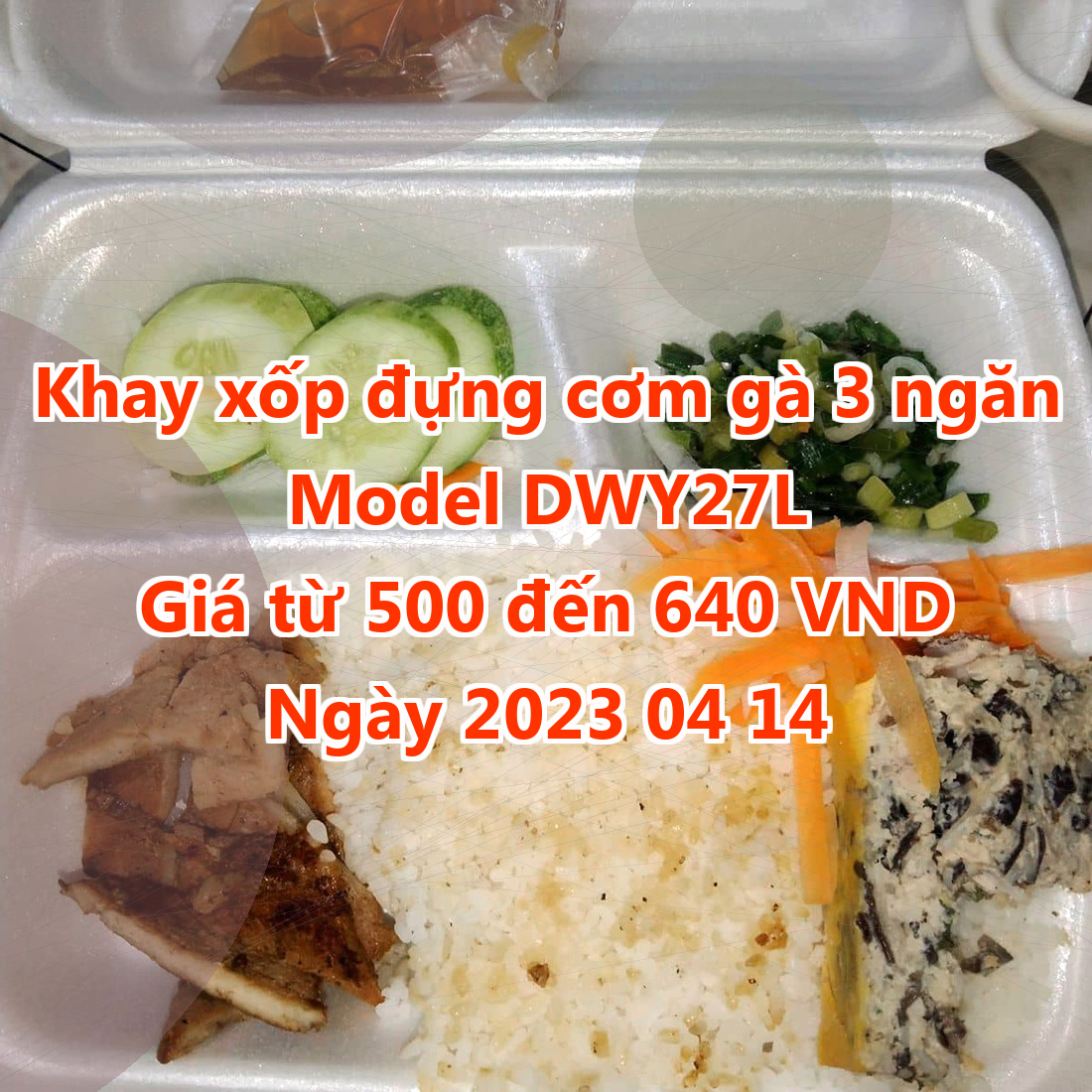 Khay xốp đựng cơm gà 3 ngăn - Model DWY27L