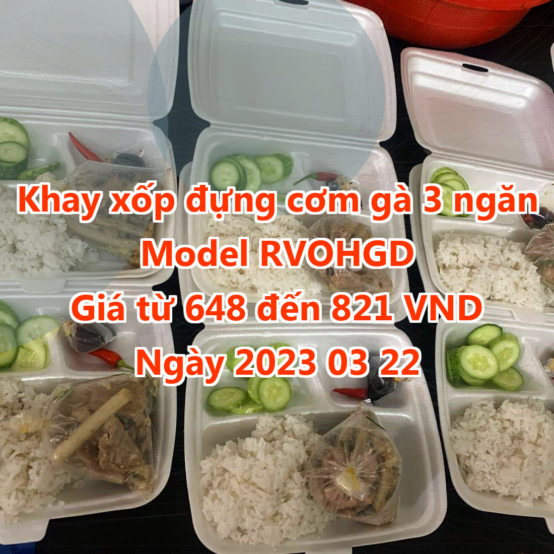 Khay xốp đựng cơm gà 3 ngăn - Model RVOHGD