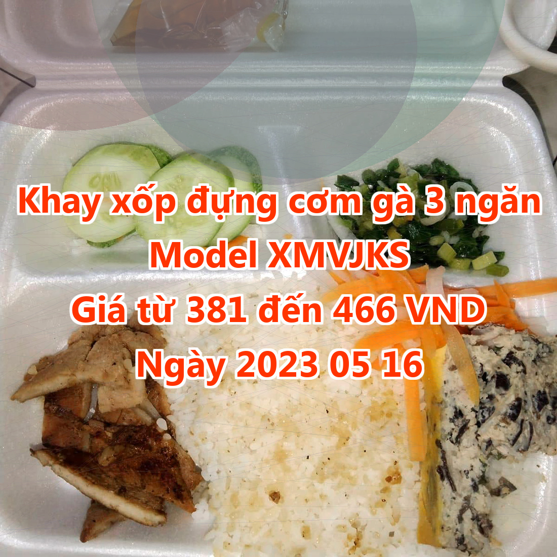 Khay xốp đựng cơm gà 3 ngăn - Model XMVJKS