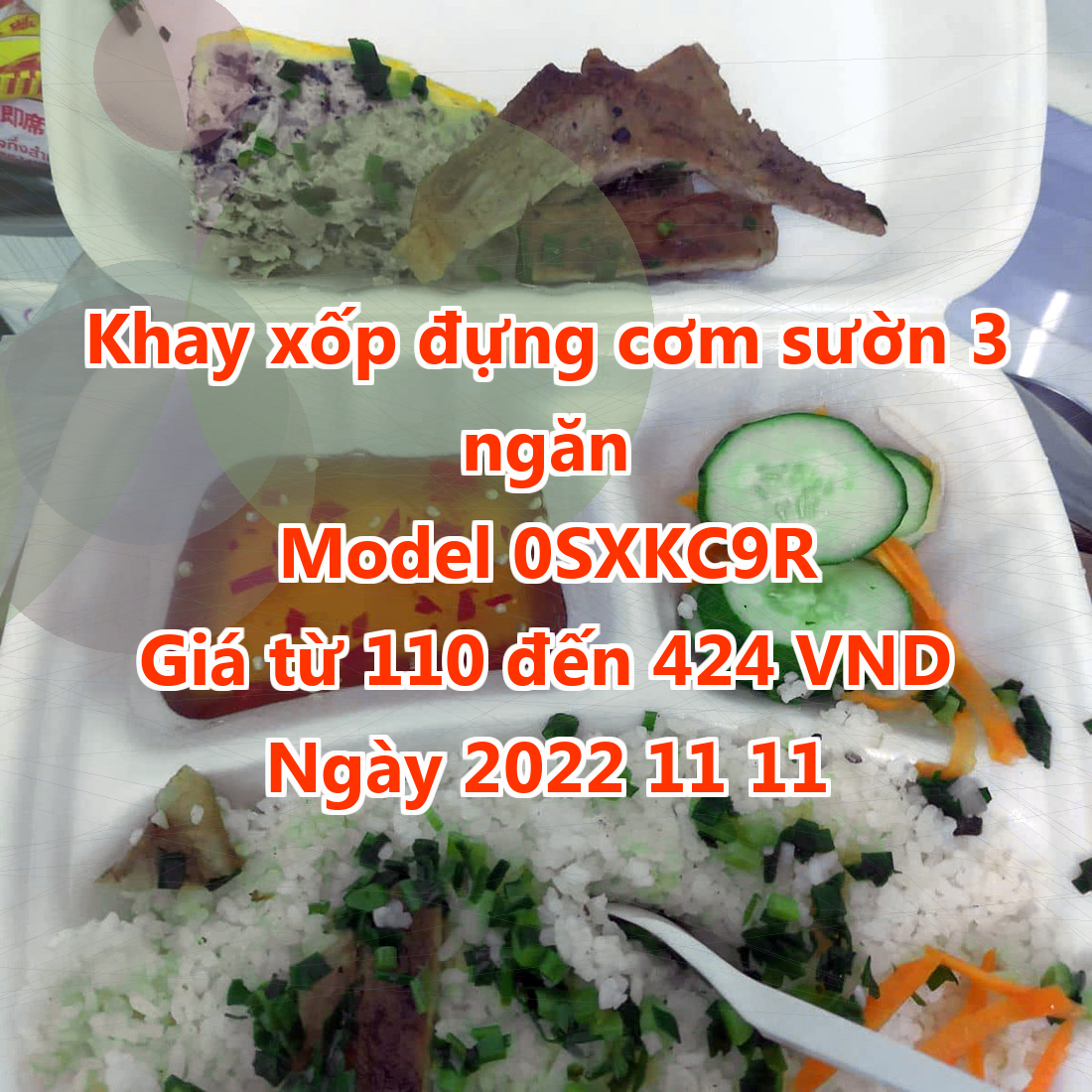 Khay xốp đựng cơm sườn 3 ngăn - Model 0SXKC9R - Màu Light Coral