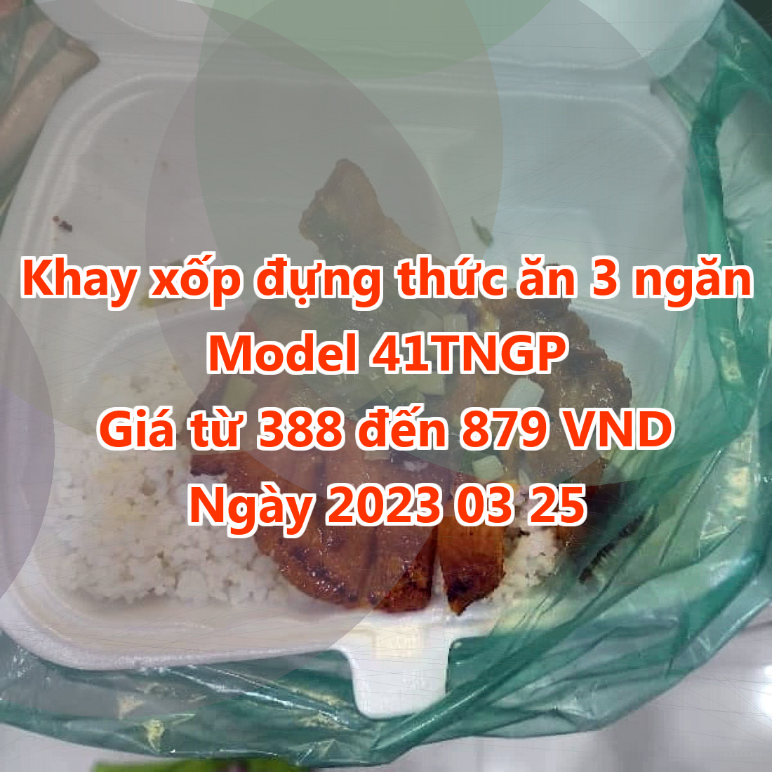 Khay xốp đựng thức ăn 3 ngăn - Model 41TNGP