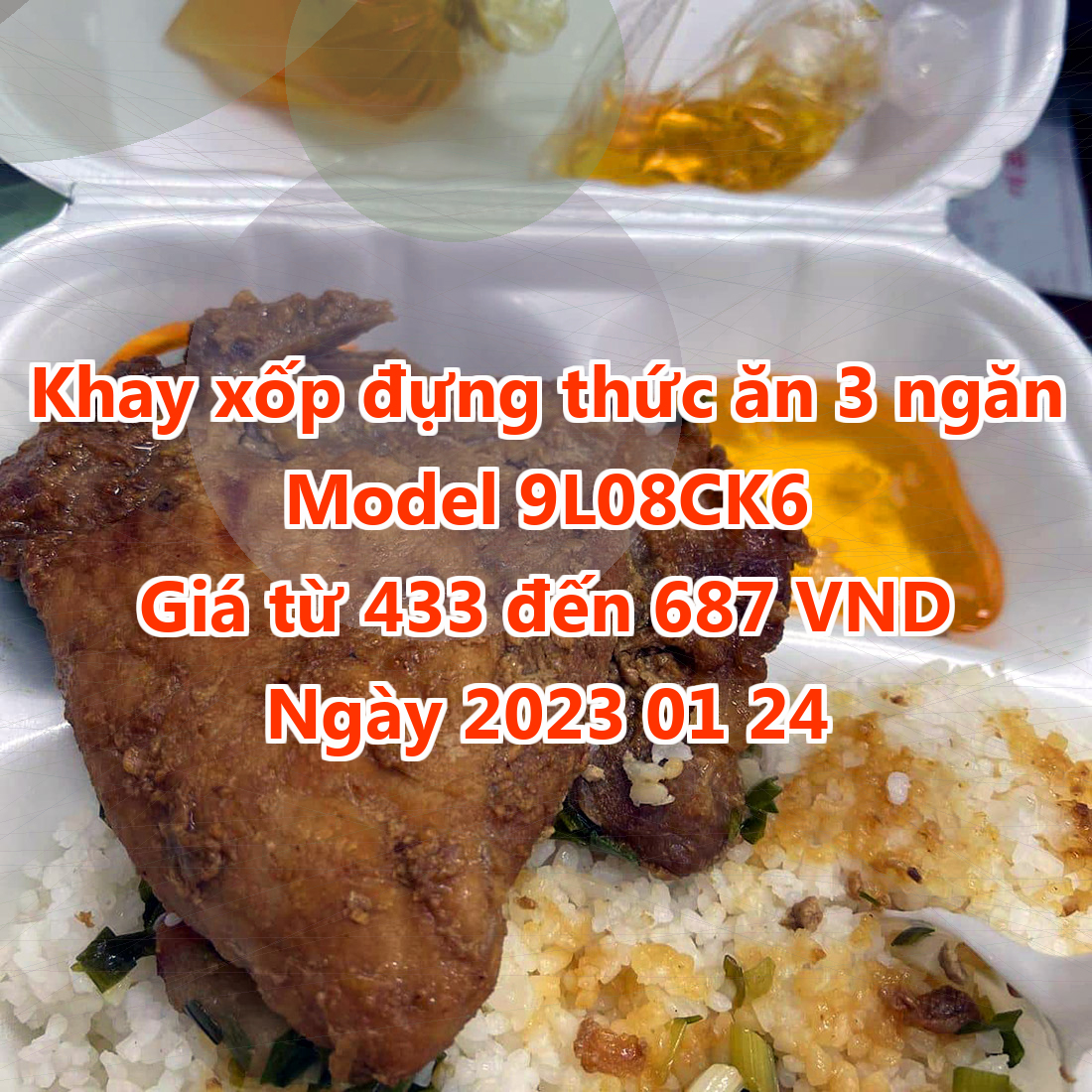 Khay xốp đựng thức ăn 3 ngăn - Model 9L08CK6