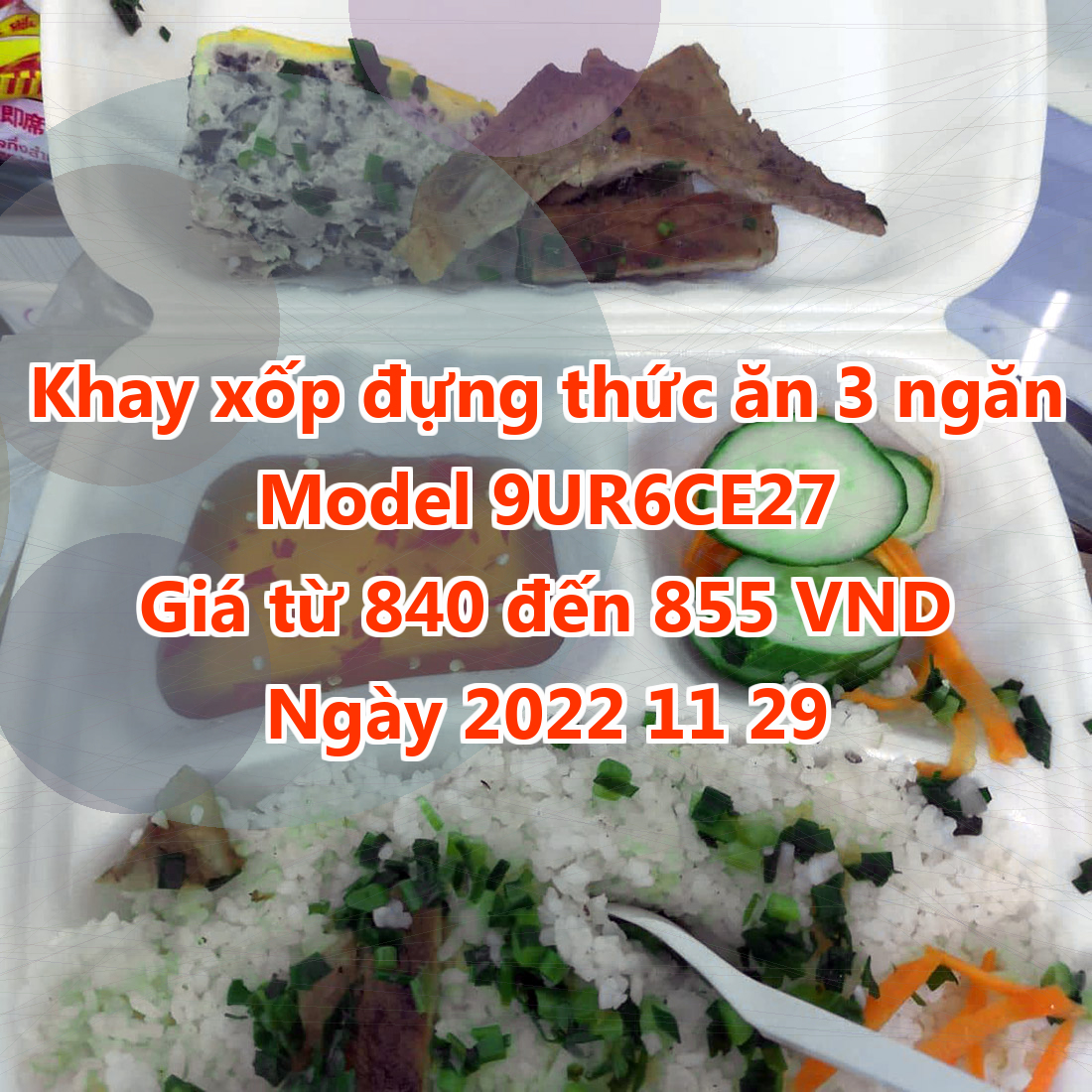 Khay xốp đựng thức ăn 3 ngăn - Model 9UR6CE27 - Giá 840 đồng