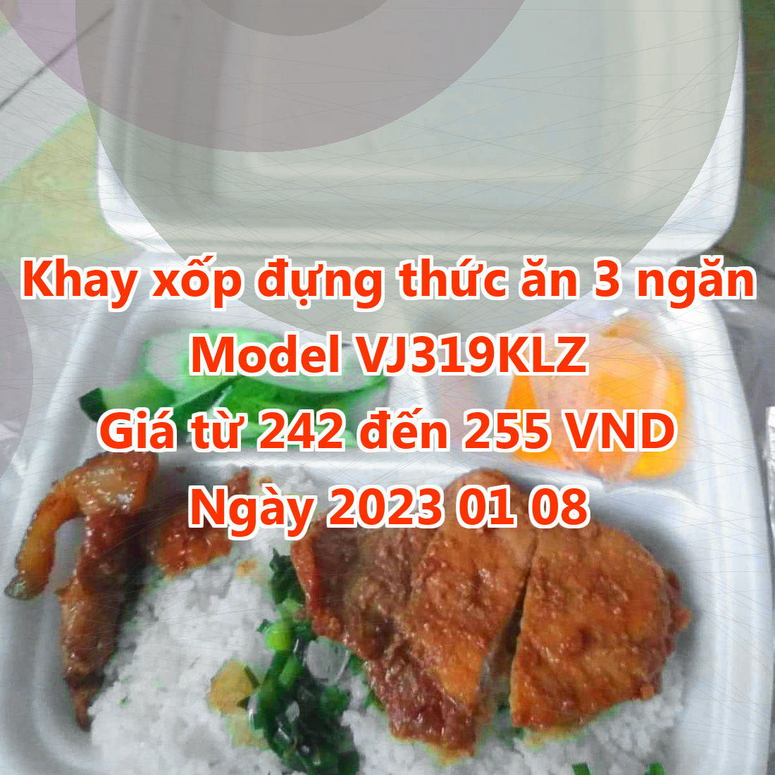 Khay xốp đựng thức ăn 3 ngăn - Model VJ319KLZ