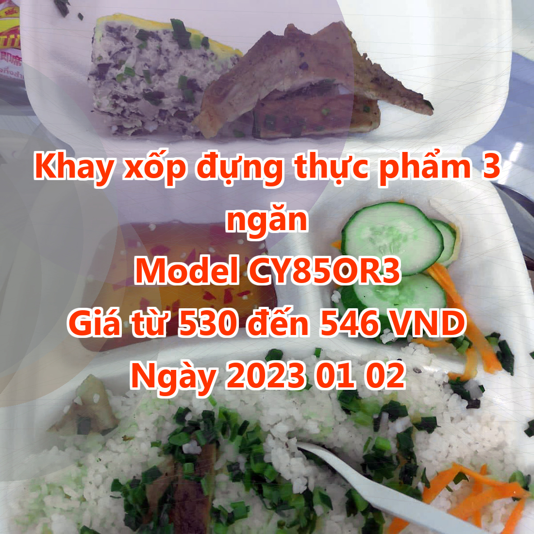 Khay xốp đựng thực phẩm 3 ngăn - Model CY85OR3