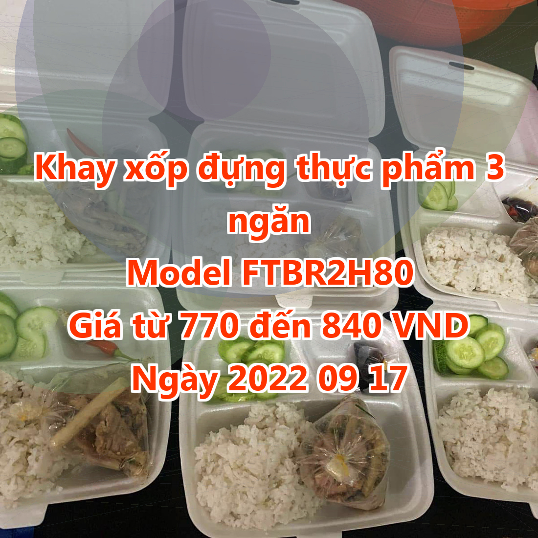 Khay xốp đựng thực phẩm 3 ngăn - Model FTBR2H80