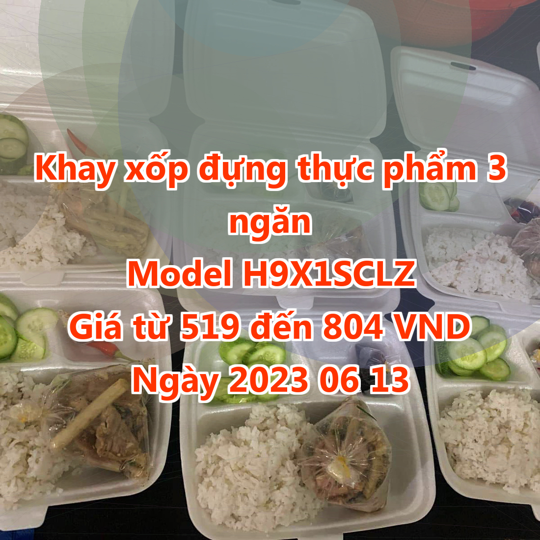 Khay xốp đựng thực phẩm 3 ngăn - Model H9X1SCLZ