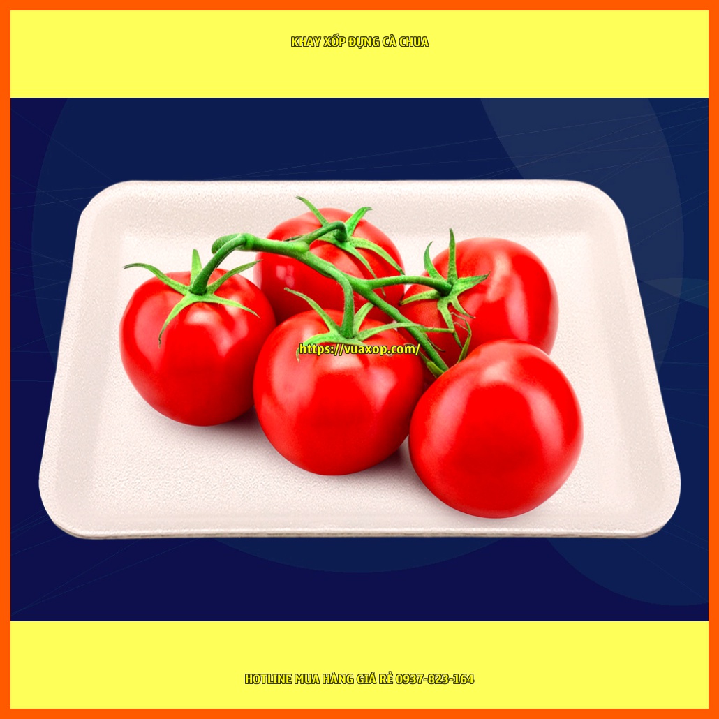 Sản phẩm khay xốp đựng cà chua được trưng bày trong các cửa hàng thực phẩm, siêu thị